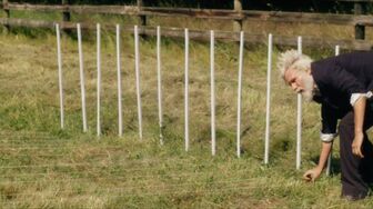 Eadweard 2015 1080p WEBRip x264-YTS