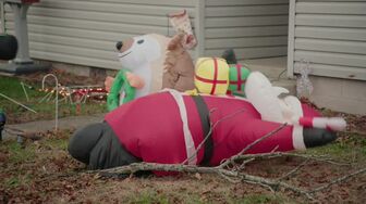 1000-lb Sisters S09E02-HDTV-X264-NGP